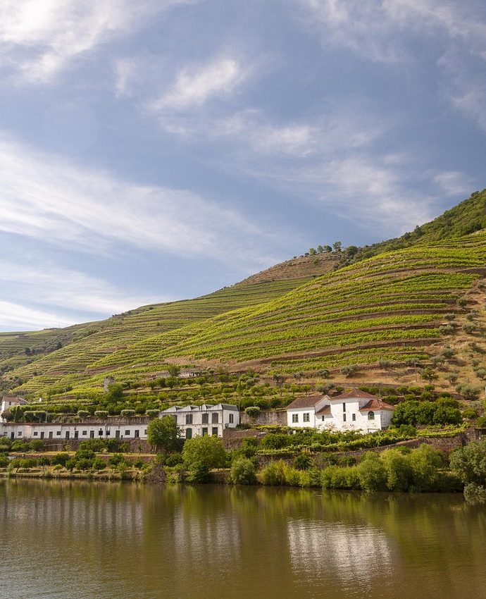Außergewöhnliche Landschaft im wunderschönen Douro Tal