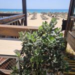 Praia Baixinha Rocha