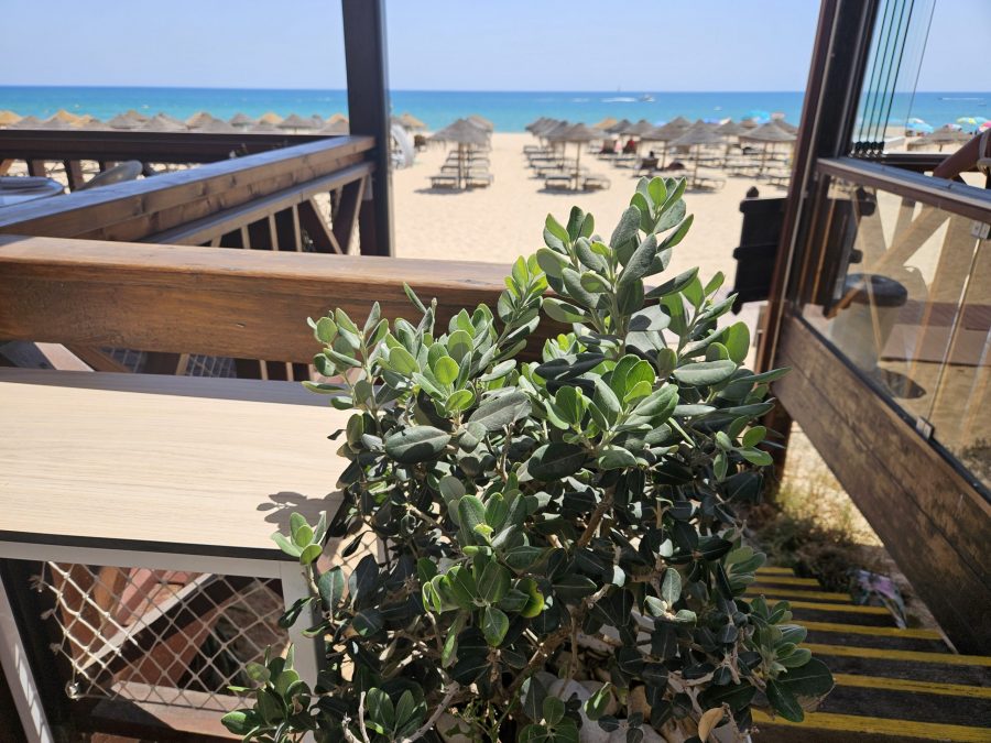 Praia Baixinha Rocha