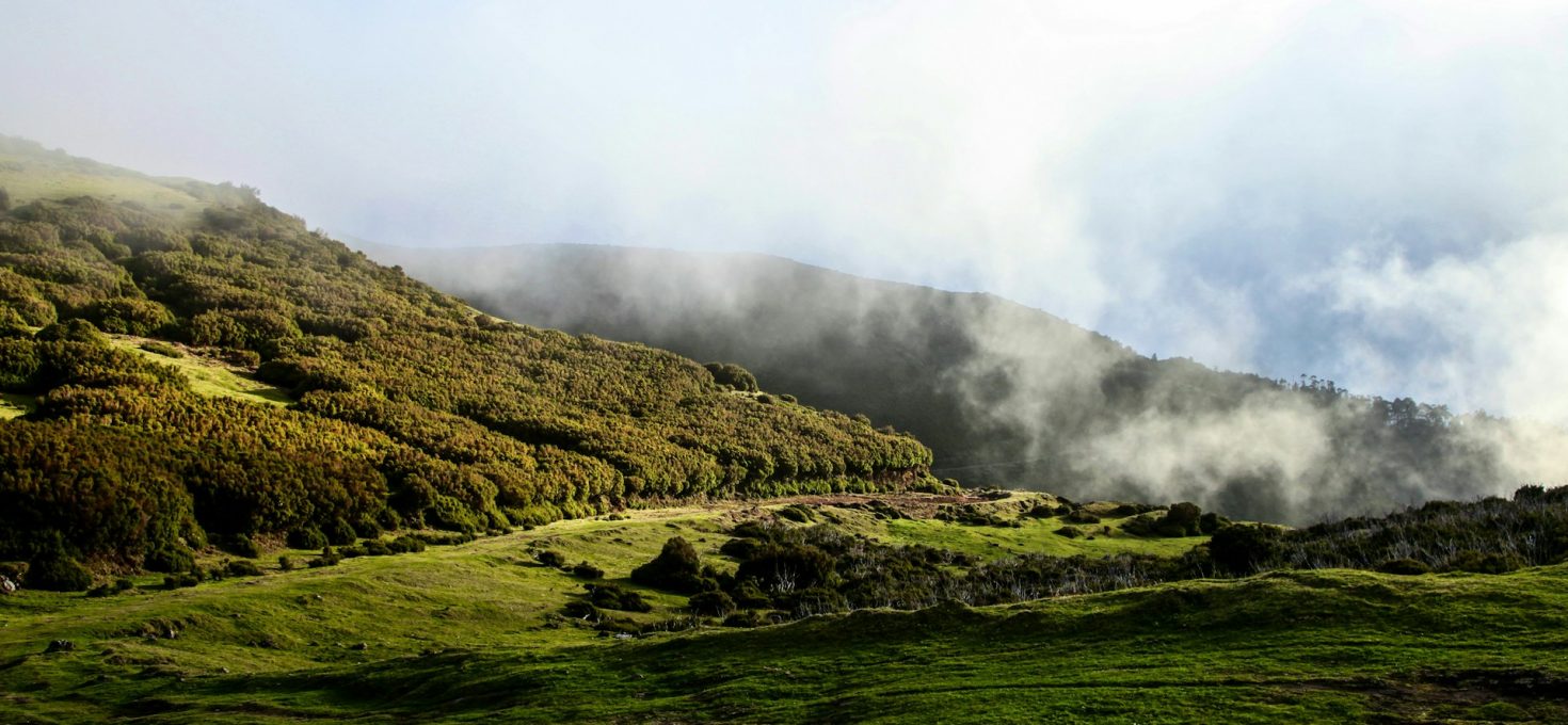 Der Zauber des Laurisilva-Wald auf Madeira