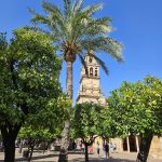 Mezquita Catedral Cordoba