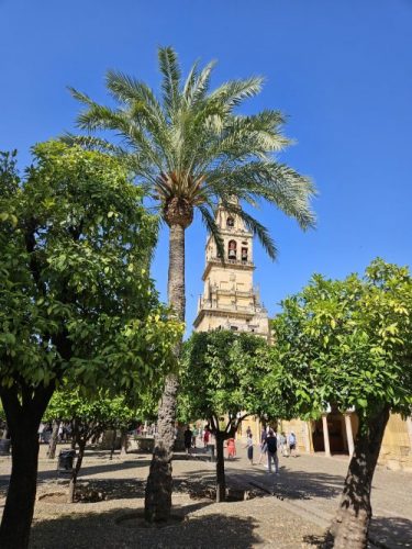 Mezquita Catedral Cordoba