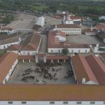 Coudelaria de Alter Alentejo