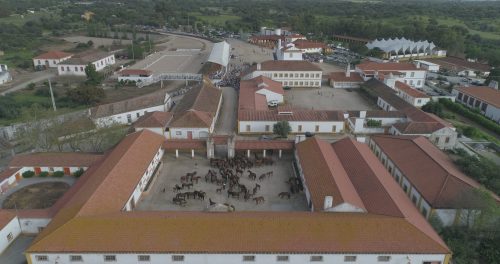 Coudelaria de Alter Alentejo