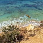 Praia do Amado Portimao