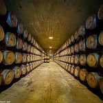 Herdade do Esporão, Alentejo Wein, nachhaltige Weinproduktion, Weintourismus Portugal