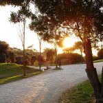 Parque da Cidade, Porto, Stadtpark Portugal, Vogelbeobachtung