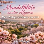 Mandelblüte an der Algarve